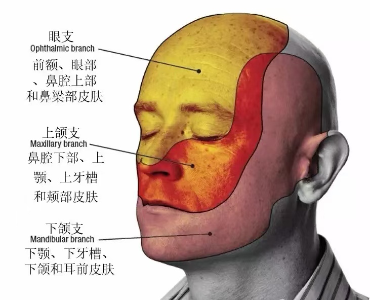 微信图片_20241118091522.jpg