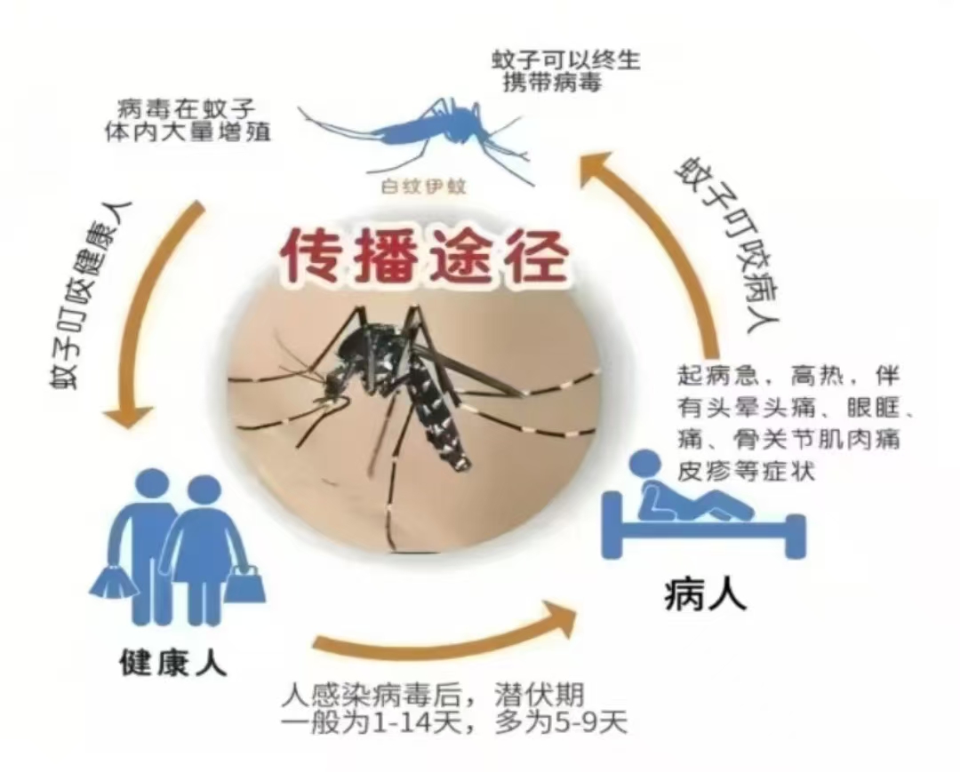 微信图片_20250728113111.jpg 微信图片_20250728113111.jpg