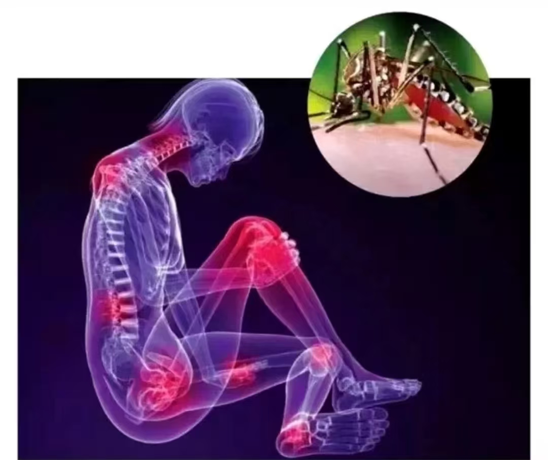 微信图片_20250728114008.jpg 微信图片_20250728114008.jpg