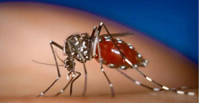 图片3.png 图片3.png